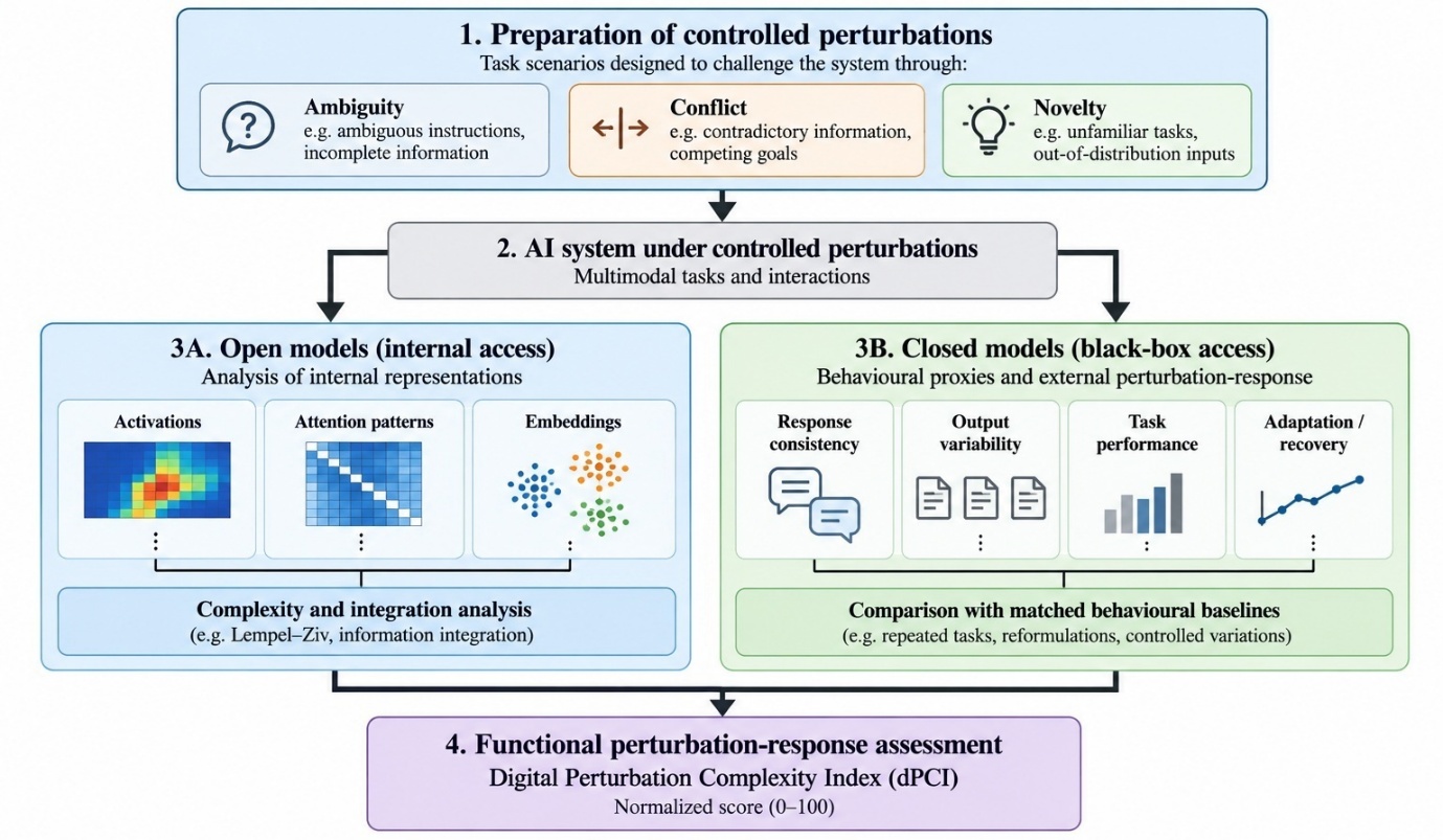 dPCI perturbation paradigm. Schematic representation of the proposed framework for controlled perturbation and functional response assessment in open and closed AI models.